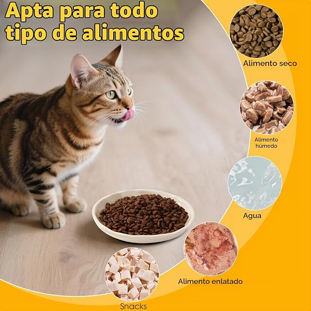Foto 6 de 7 de Vikcvcsc 5 Piezas Comedero Gato, Comedero Gato Ceramica con Base de Silicona Antideslizante