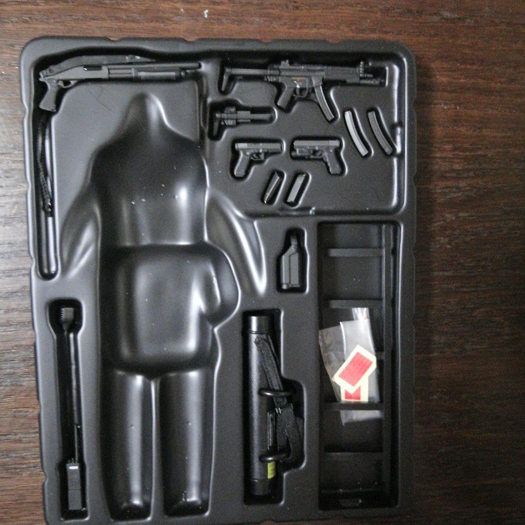 Out of Print damtoys 1/12 SAS CRW Figure, Figures - Amazon Canada