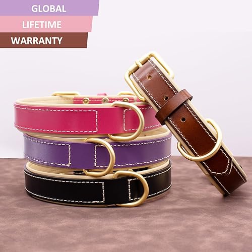 Miniatura 7 de HSIGIO Collar de perro de cuero genuino, collar de perro acolchado suave, collares transpirables y resistentes para mascotas con hebilla de metal