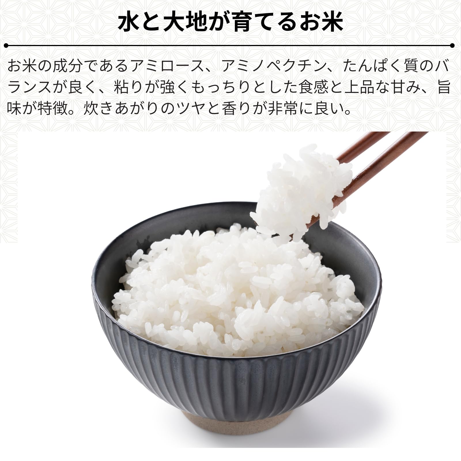 新米　福井県産　北陸産美味コシヒカリ白米10キロ 福井県産コシヒカリ 白米 10kg(5kg×2) 令和7年産｜福井県産コシヒカリ