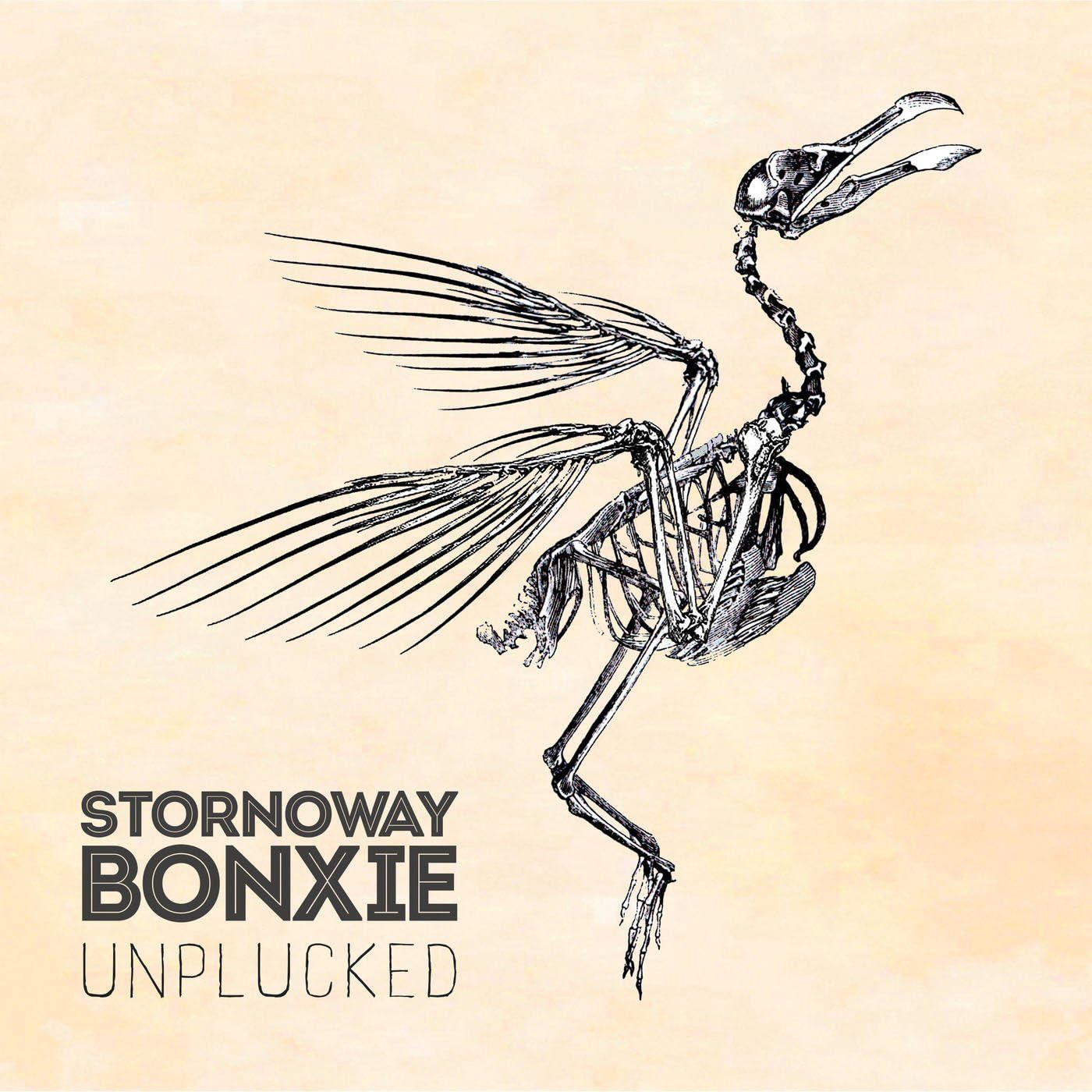 Vinyl Castle Light/Dark Bonxie Unplucked