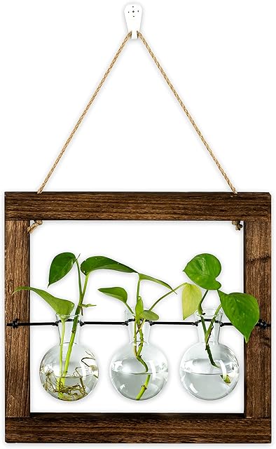 Hanging Propagation Station for Plants Wall Planter Indoor Vintage Wall Bulb Vase for Flowers with Wooden Frame for Aethetic Room Decor Home Office Accessories