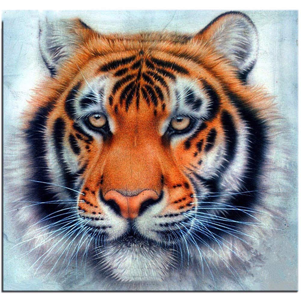 Diamond Painting, Broderie Diamant Kit, Tigre Peinture Diamant 5D Complet, Peinture Numero Adulte Enfant, Diamant Peinture Grand Format DIY Diamond Painting Strass Kits-Square Drill,30x40cm