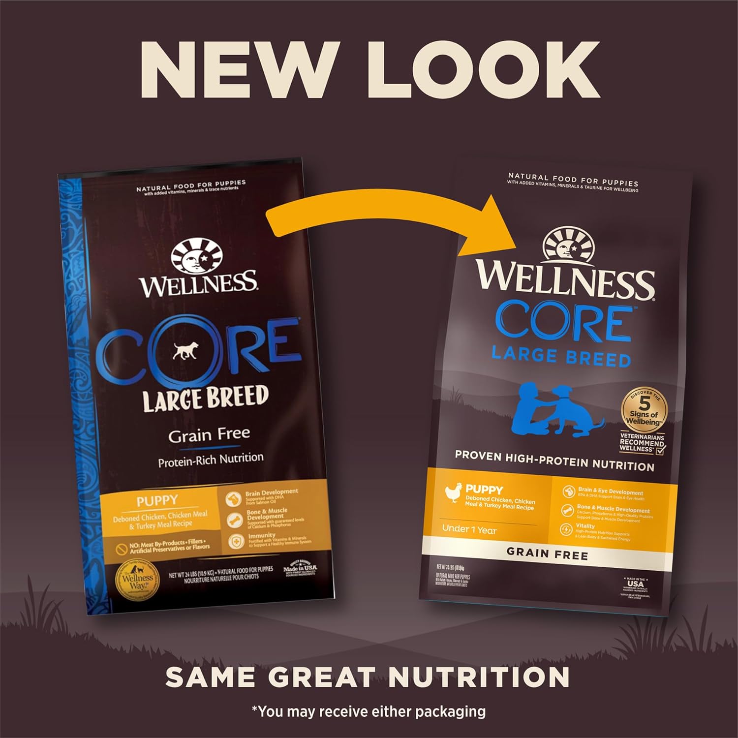Wellness CORE Large Breed Puppy Dry Dog Food, Grain Free Kibble, Natural, High Protein, Chicken and Turkey Recipe, 24 lb Bag