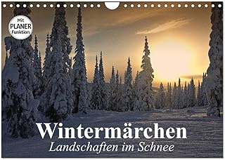 Wintermärchen. Landschaften im Schnee (Wandkalender 2026 DIN A4 quer), CALVENDO Monatskalender