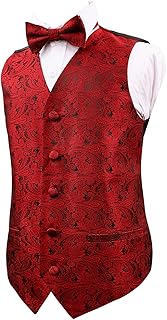 Boys 2pcs Classic Paisley Bow Tie and Suit Vest Set
