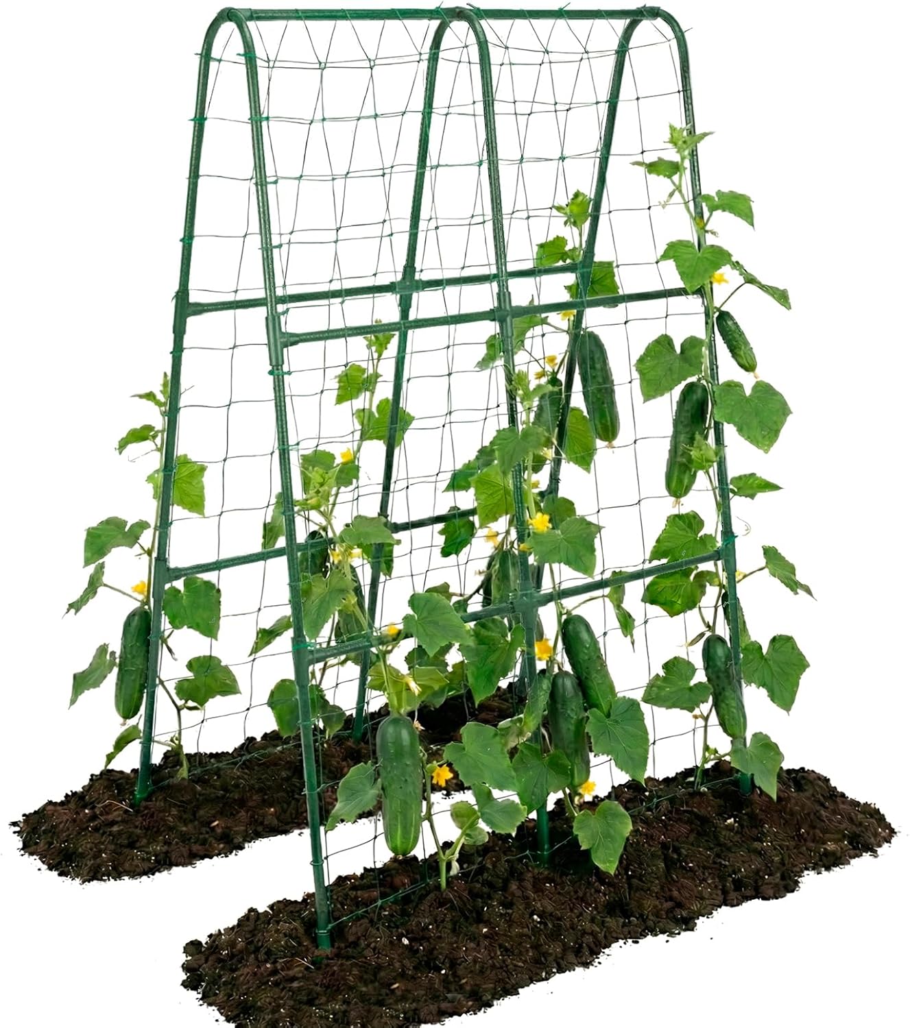 Cucumber Trellis for Raised Bed, Garden Trellis for Climbing Plants Outdoor, Metal Arch Trellis U-Shape Vegetables Support for Tomotoes Grape Vines Beans Peas (Green, 31.5" L x 24" W x 48" H)