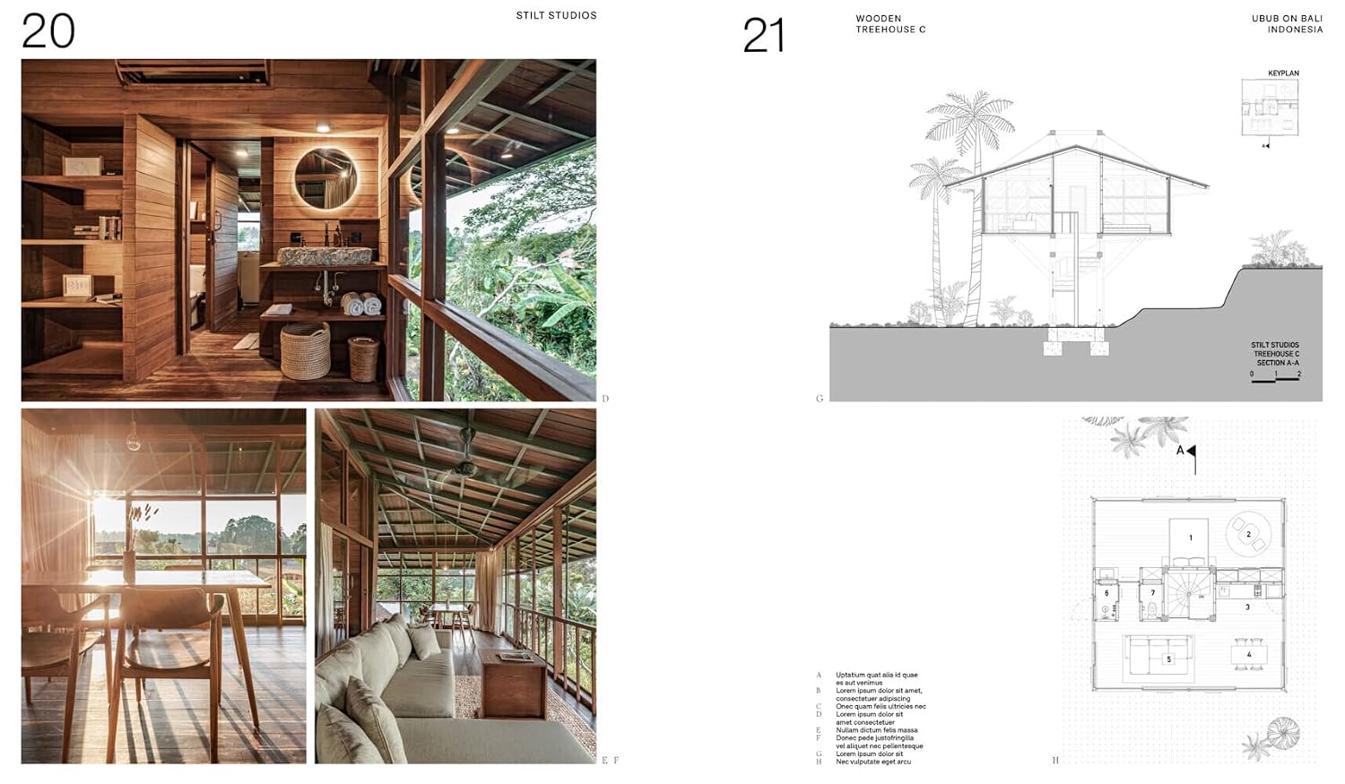 Inside Tropical Homes: Dreams Come True