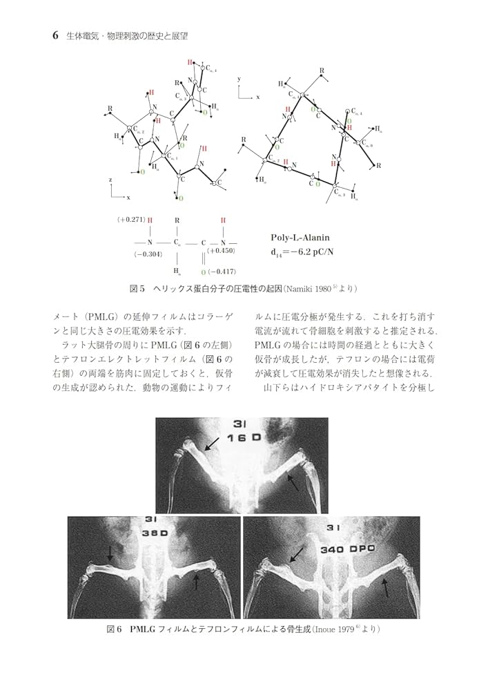 生体電気・物理刺激による骨・軟部組織修復法 Amazon.co.jp: 生体電気・物理刺激による骨・軟部組織修復法