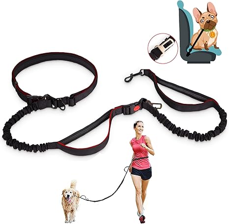 amazon dog running leash