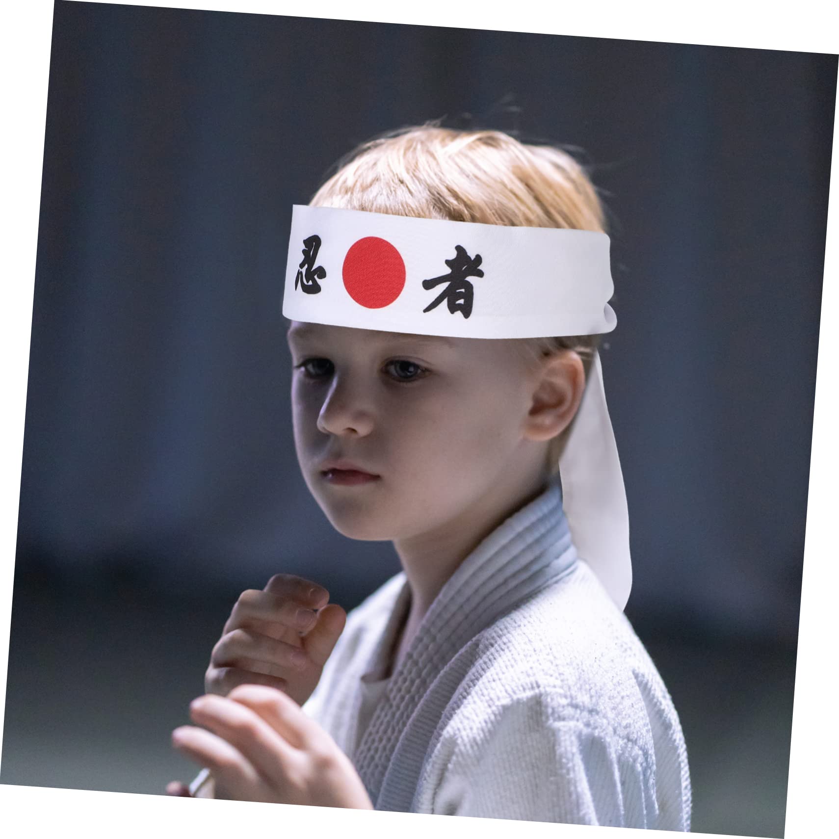 Tapferer Krieger Hachimaki Japanese Hachimaki Headband Martial Arts Theme Sports 17 Design Made In Japan YUUSHA Tapfere Krieger Stirnband Japan