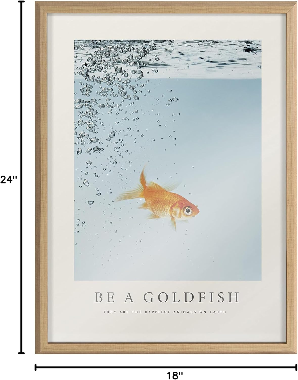 Kate and Laurel Blake Be A Goldfish Framed Printed Glass Wall Art by The Creative Bunch Studio, 18x24 Natural, Decorative Animal Inspirational Art for Wall
