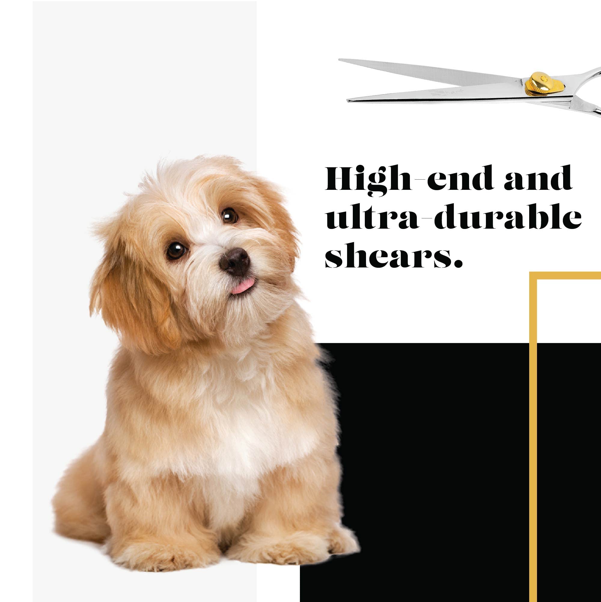 SHARF Gold Touch Toilettage Animaux Ciseaux Acier Inoxidable Lames Droites 8,5 Pouces