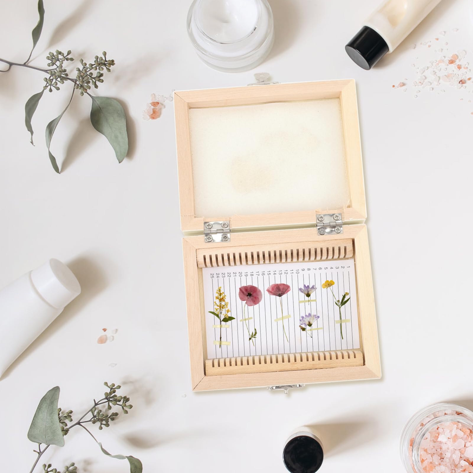 Ciieeo Microscope Slide Boxes 25 Slot Wooden Case for Boys and Girls Slide Container Metal Latch Easy to Use