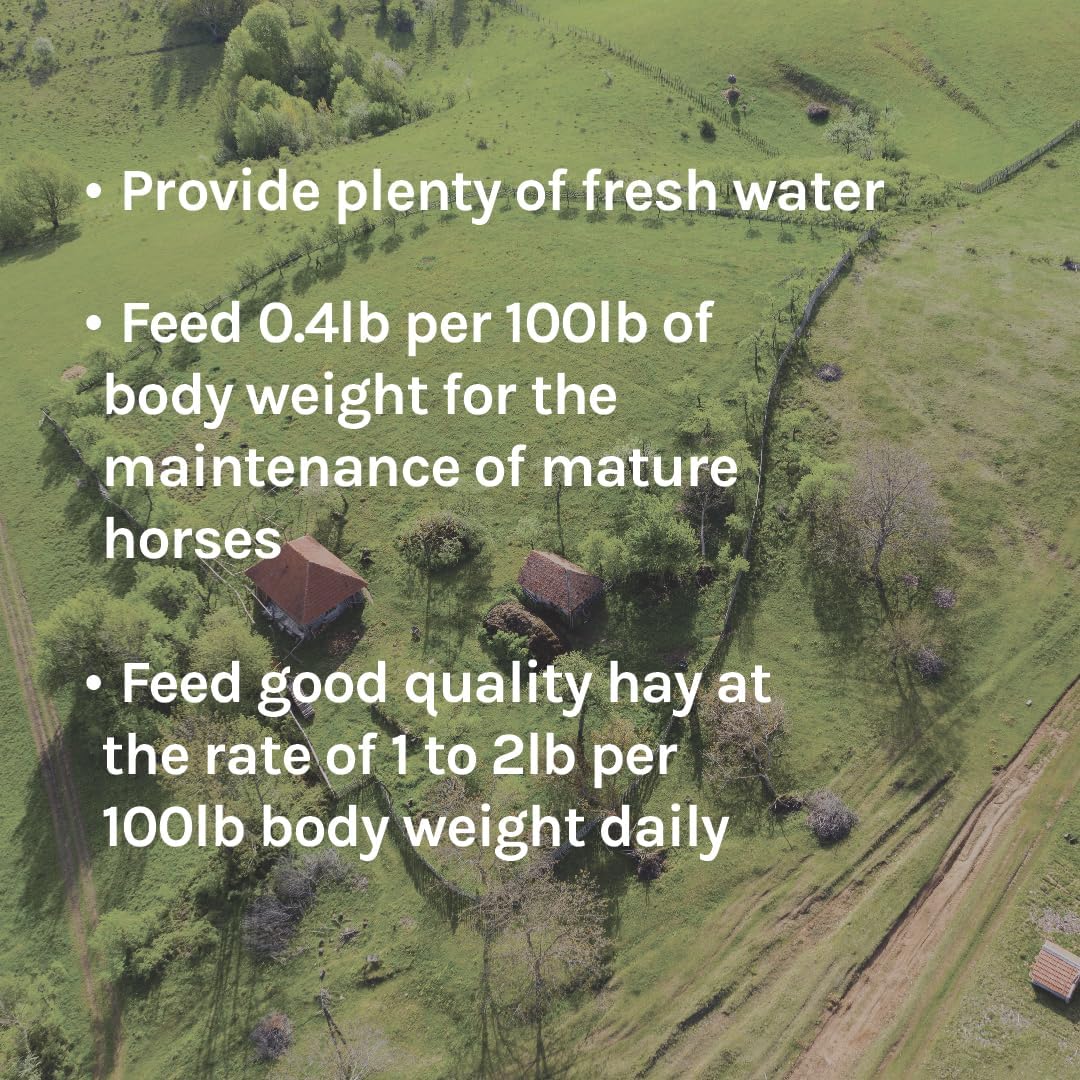 New Country Organics | Performance Horse Feed for Horses in Light to Moderate Work | Corn-Free and Soy-Free | 12% Protein | Certified Organic and Non-GMO | Horse Feeder with Grains & Oats 40 lbs