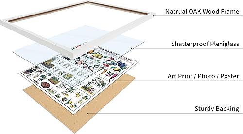 Miniatura 158 de Poster Master Póster vintage de orquídea, estampado de flores retro, arte de pared de plantas exóticas, arte botánico, regalo para hombres y