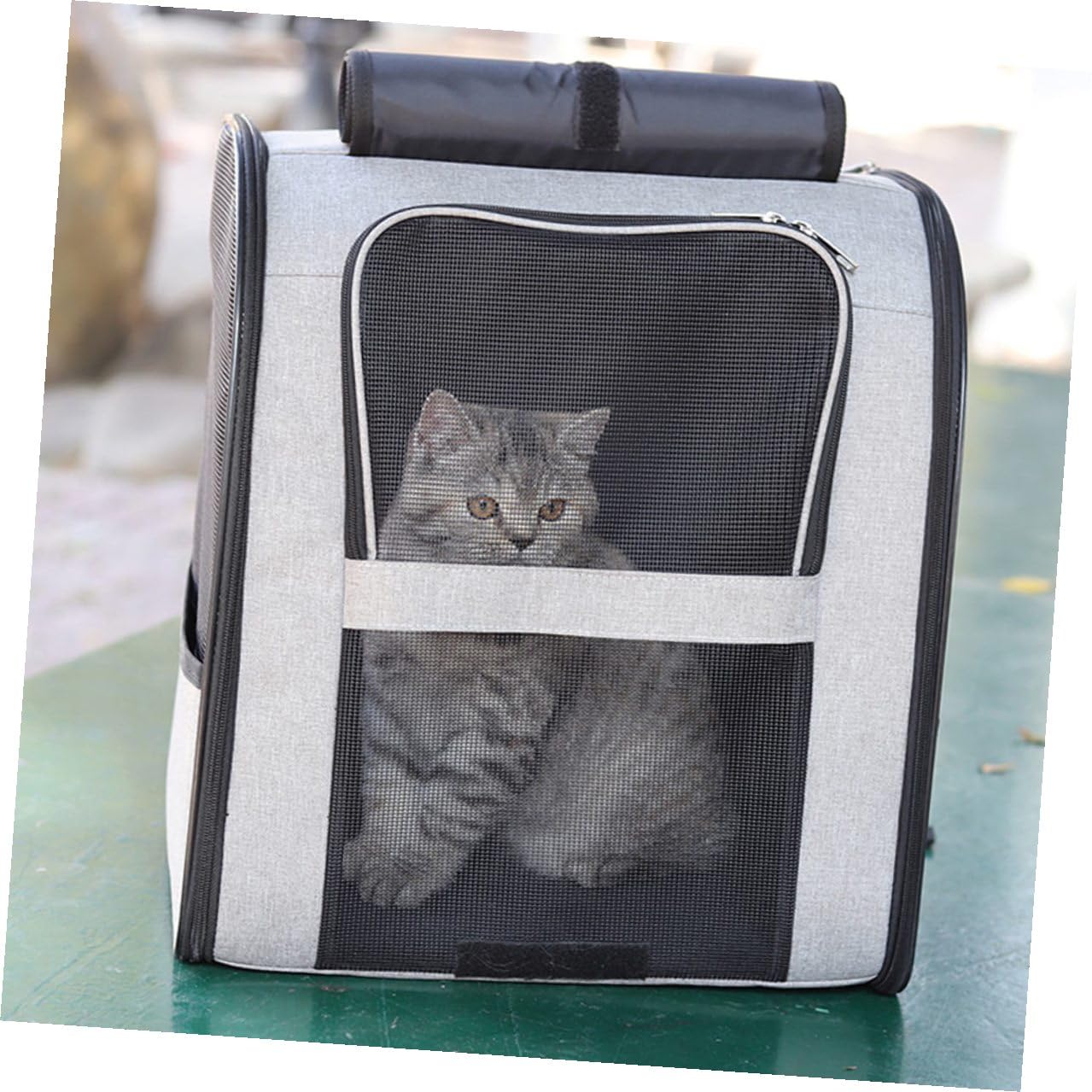 Lurrose Zaino Traspirante per Animali Domestici Comoda Borsa per Gatti Grande Capacità Trasportino per Animali Domestici