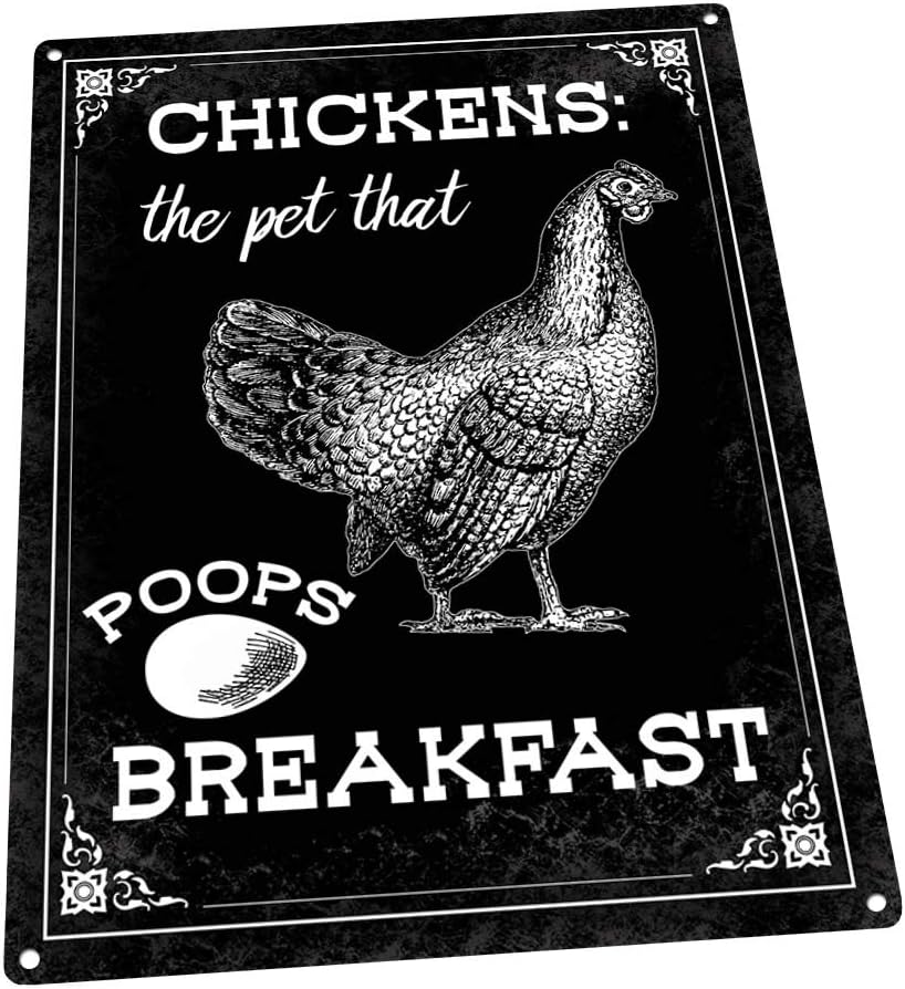 Homebody Accents Chickens the Pet that Makes Breakfast Sign, Funny Chicken Sign, Rustic Steel Chicken Keeper Gift, Farmhouse Kitchen and Coop Wall Decor, Made in USA - 16"x12"