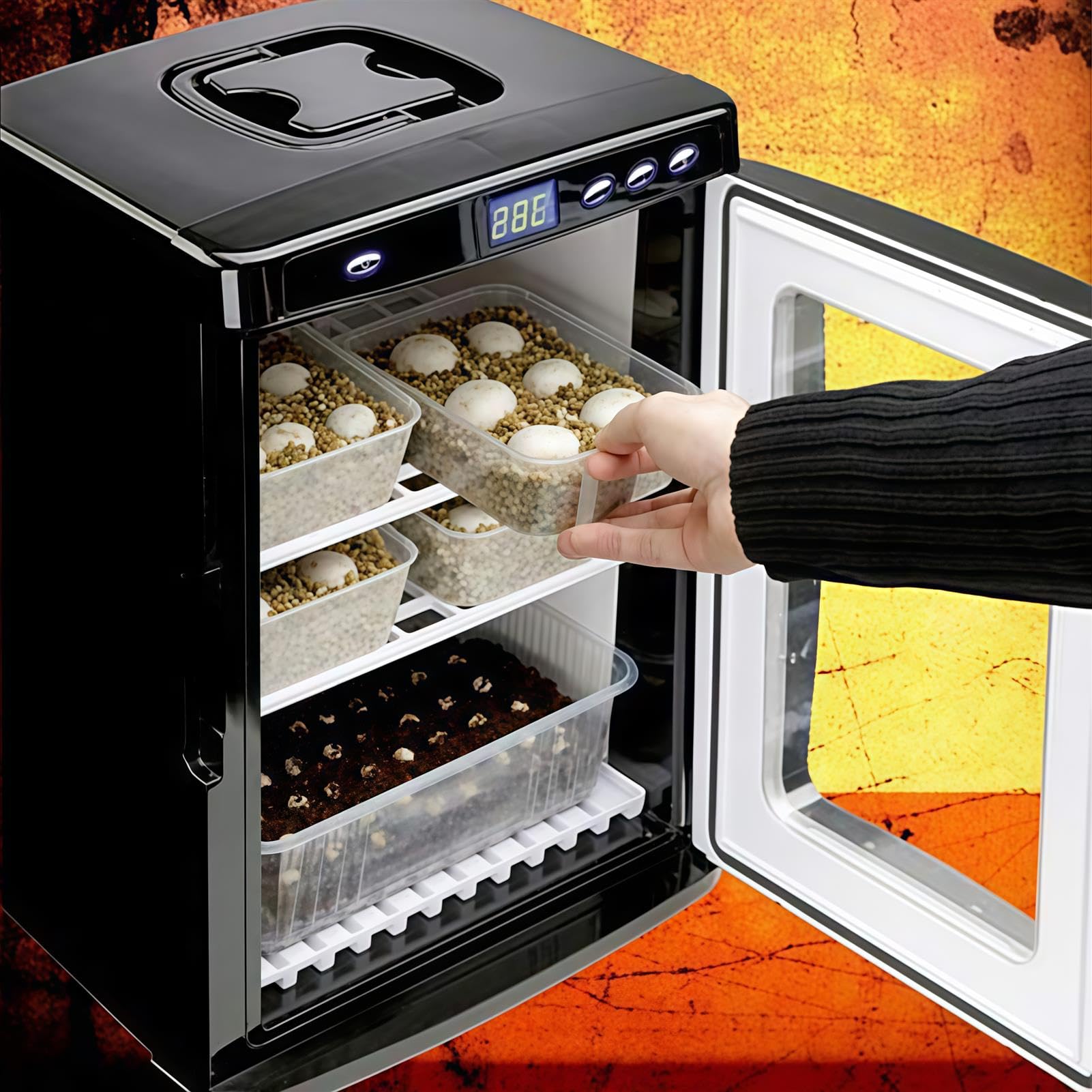 Incubatrice per uova di rettili con controllo digitale, raffreddamento e riscaldamento a doppia potenza da 25 l, 10-60 °C, incubatrice portatile per laboratorio scientifico per casa, laboratorio e