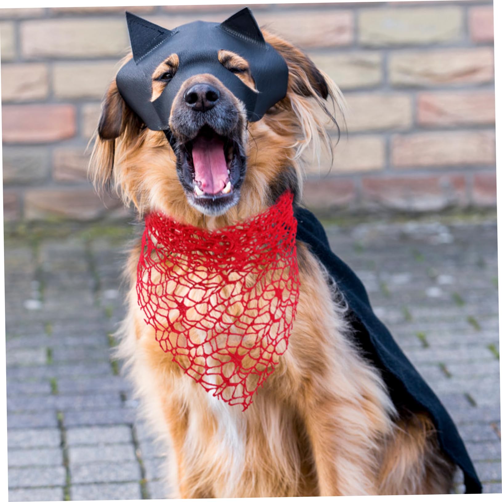 Bandana Mignon pour Chien Halloween, Lot de 2, Polyester Rouge | Bandeau Araignée, Accessoires pour Chiens Halloween, Costume Halloween pour Chien
