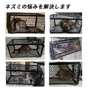 カヤネズミの煙突セット カヤネズミの煙突セット カヤネズミ様