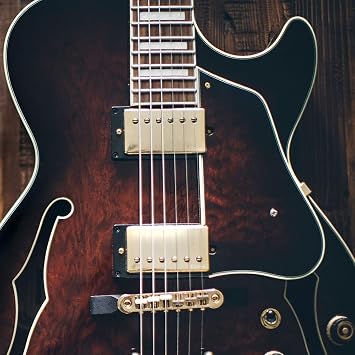 LP Guitars Humbucker Pickup Set, Chrome Bridge and Neck Pickups for Enhanced Sound Quality and Reduced Noise | Essential Music Gear Accessories