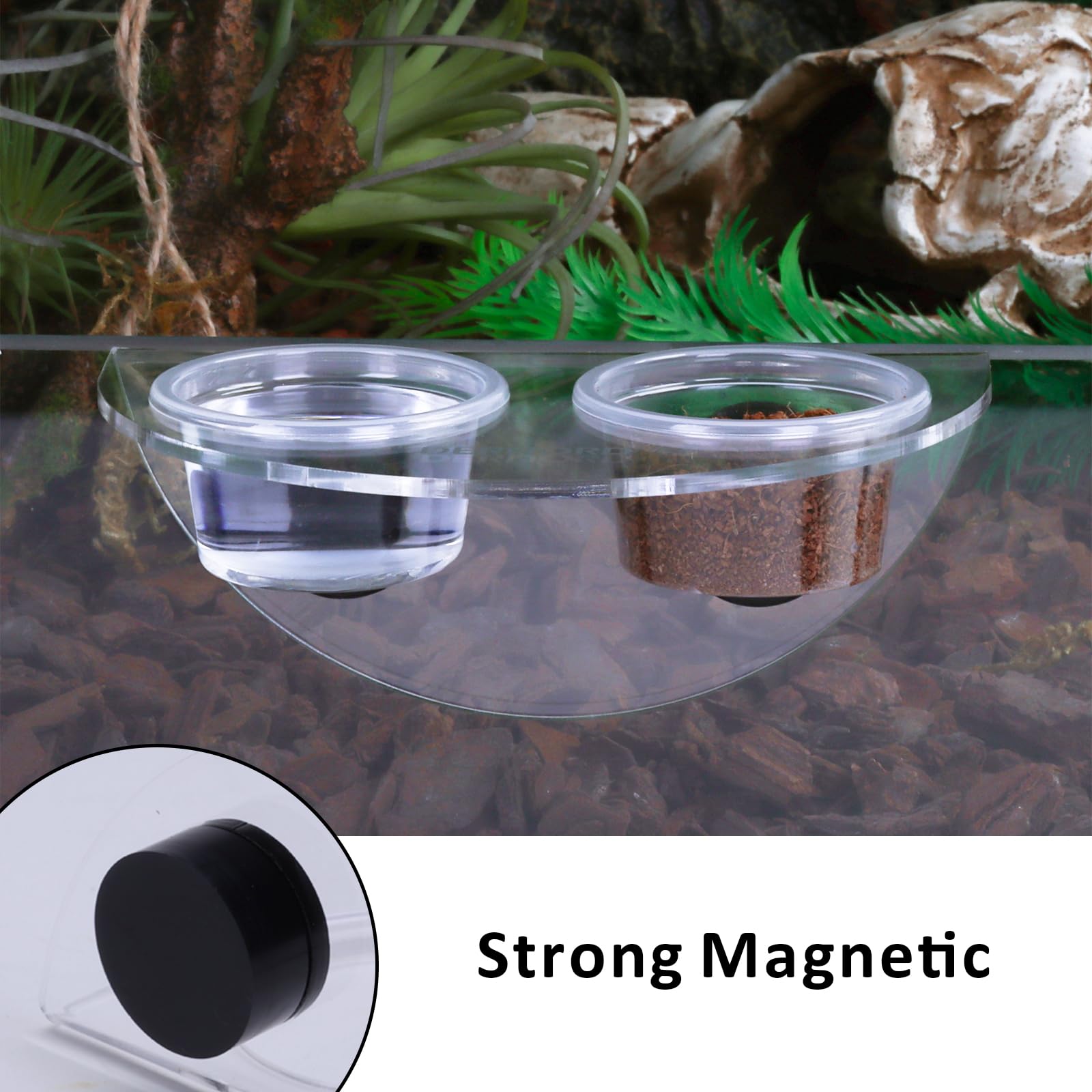 DERNORD Ledge Crested Gecko Feeding – Confezione da 6 ciotole per acqua per rettili, vivarium forte magnetico per lucertola drago barbuto