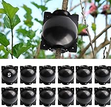 ZUCKLIGHT Dispositif d'enracinement des plantes - 12 pièces boîtes pour la croissance des racines, Propagation Raisonnable Boule pour la coupe des semis
