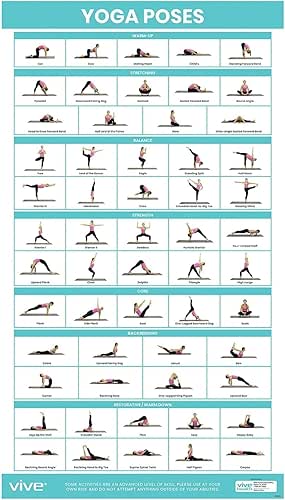 Vive Yoga Poster - Poses for Beginners and Experts -