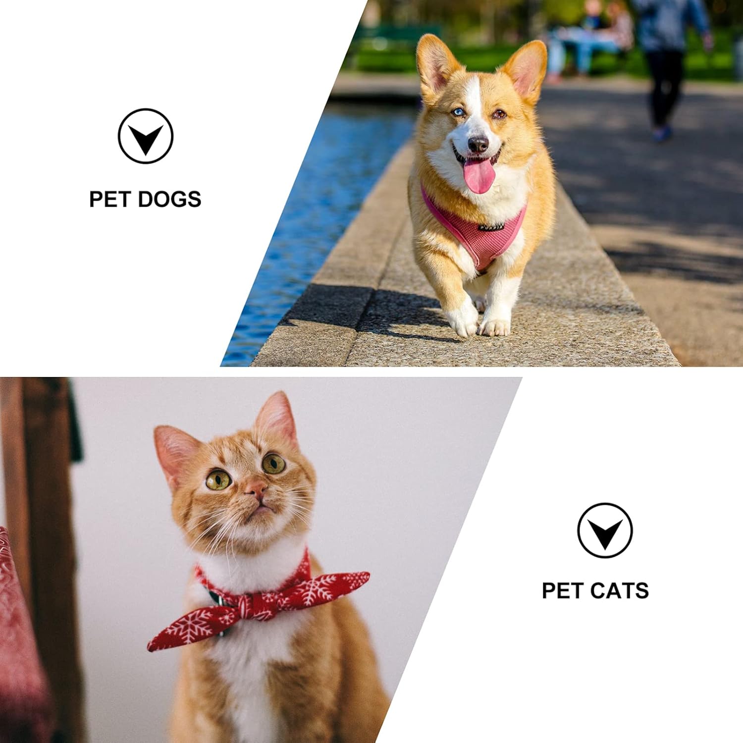 balacoo 1pc Adjustable Pet Hairdryer Rack Floor Holder for Easy Grooming Styling Convenient Hairdryer Stand for Dogs Space-Saving Design Pet Accessory