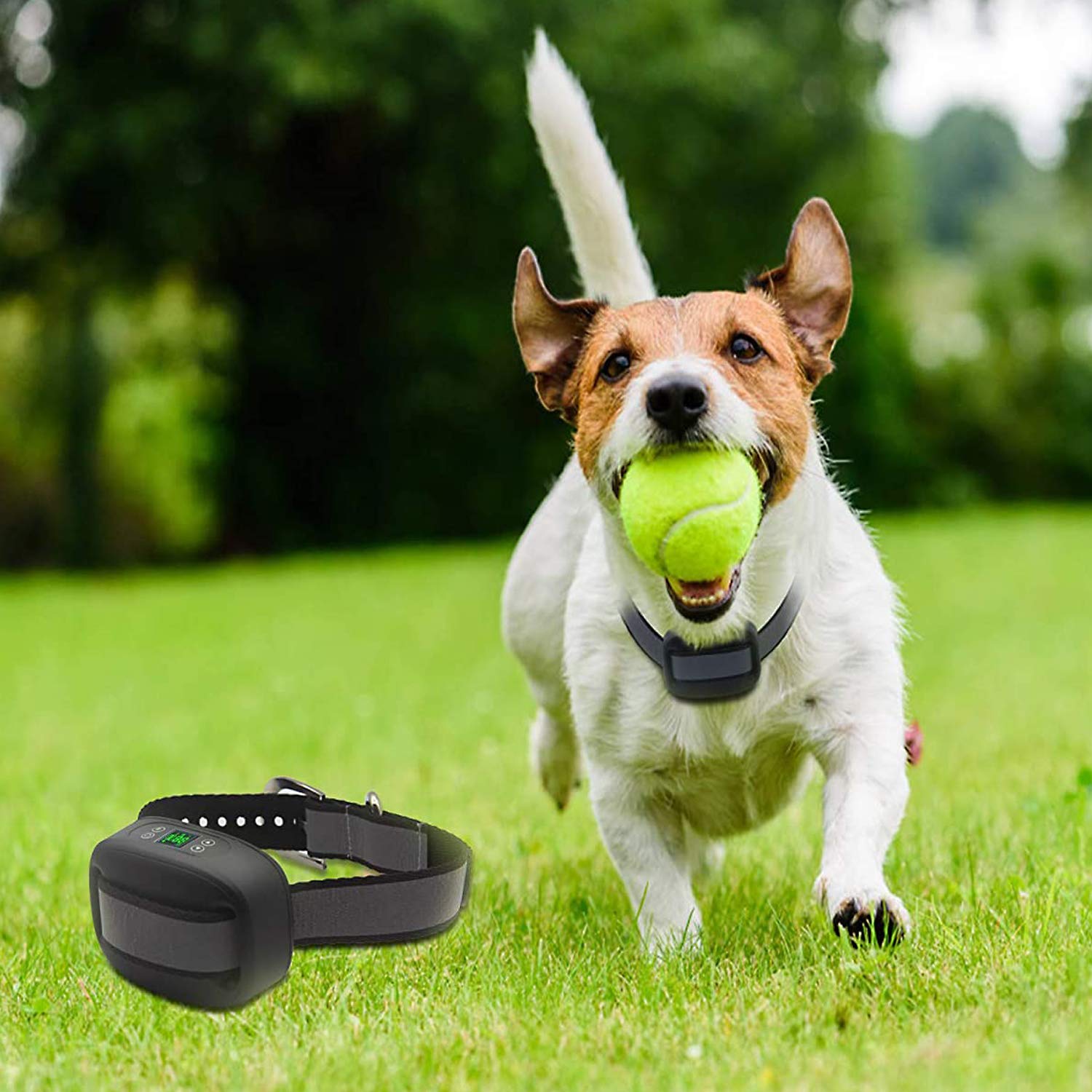 Buy LSM GPS Wireless Dog Fence System,Inground/Aboveground Pet
