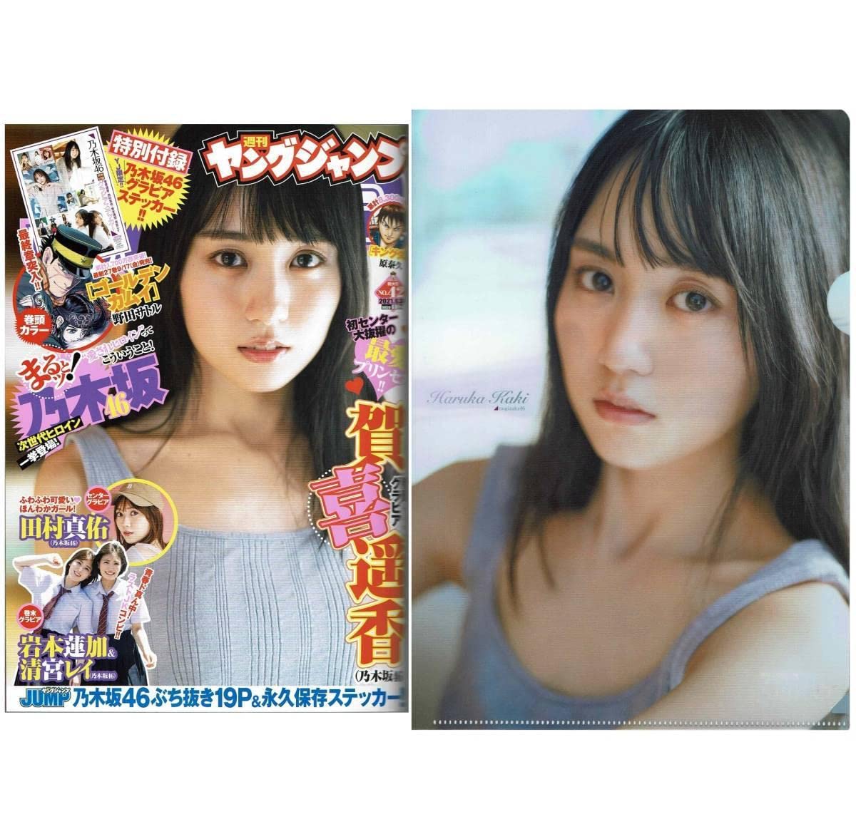 Amazon.co.jp: 乃木坂46 賀喜遥香 クリアファイル セブンネット限定 