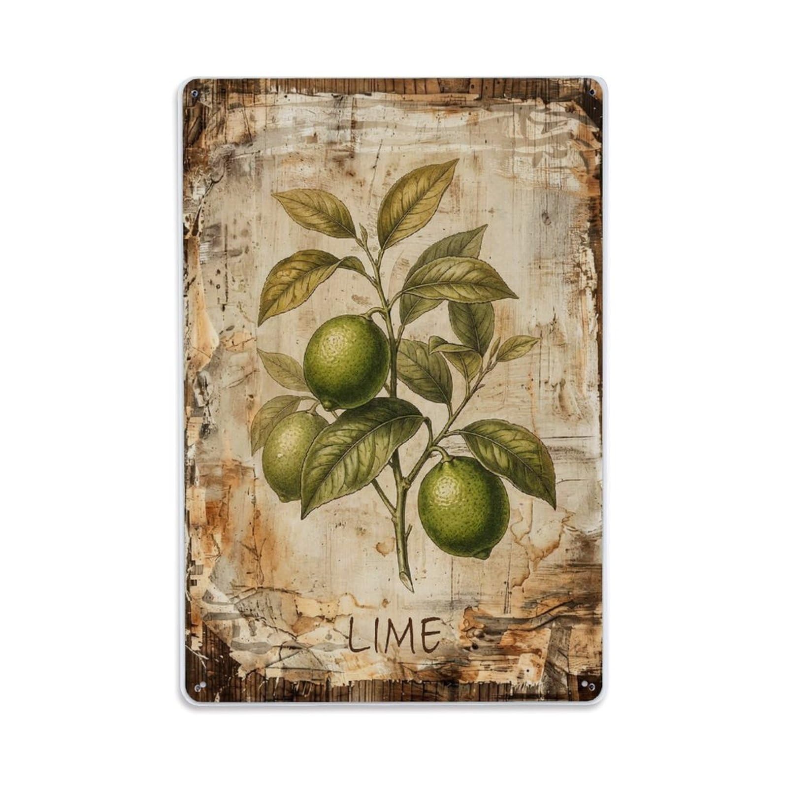 Fqnyr Style Lime Citrus Fruit Metal Tin Sign Plaque Wall Decor For Cafe, Club Bar, Office, Home Garden Metal Poster 8X12inch