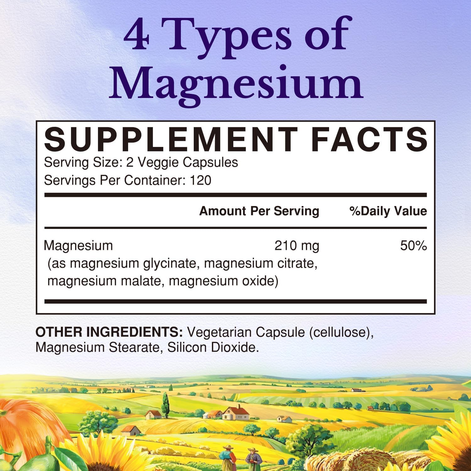 Vitalitown Magnesium Complex | Chelated Easily Absorbed Magnesium Glycinate Citrate Malate | Buffered | 210mg Elemental Mag | Sleep, Nerve, Digestion, Energy | Non-GMO 240 Veg Caps - Image 2