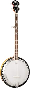 Washburn Americana B10, Banjo
