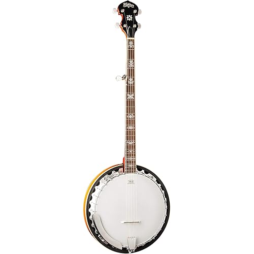 Washburn Americana B10, Banjo