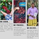 Navees 100 Percent Arabica Coffee Beans | Freshly Roasted Coffee Beans | Single Origin | Specialty Coffee | Medium Dark roast | Delivered straight from our Farm | 500 gm gallery image