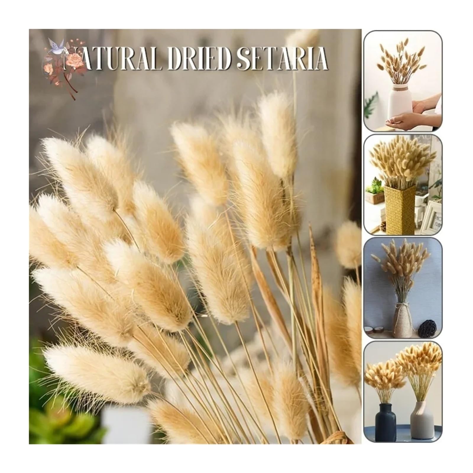 Generico 50/100 pièces d'herbe naturelle de queue de lapin, fleurs séchées pour bouquet de mariée, décoration intérieure et photographie(jaune, 50PCS)