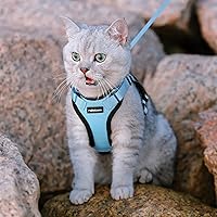 Vista 215 de rabbitgoo Arnés y correa para caminar, a prueba de escapes, chaleco suave y ajustable para gatos, fácil de controlar, transpirable, tiras