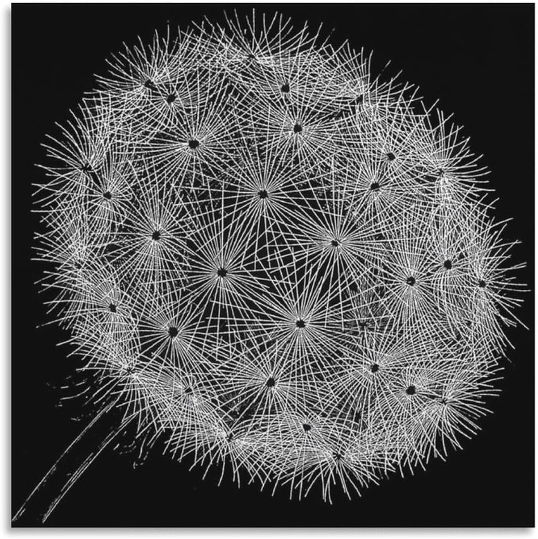 Rikin Liuff Blowball by M.C. Escher Poster and Prints Abstract Wall Art M.C. Escher Canvas Painting for Office Home Wall Picture Decor 50x50cmx1 Unframed