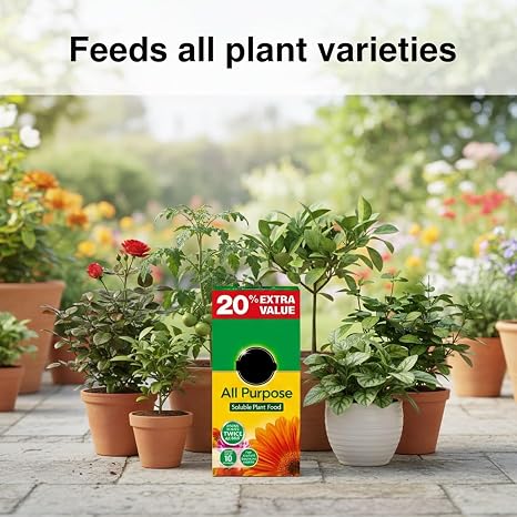 Miracle-Gro All Purpose Soluble Plant Food Fast Acting Fertiliser for Flowers, Vegetables, Shrubs & Houseplants, Indoor & Outdoor, Feeds Every 2 Weeks, (1kg + 20% Free, 2 Pack)