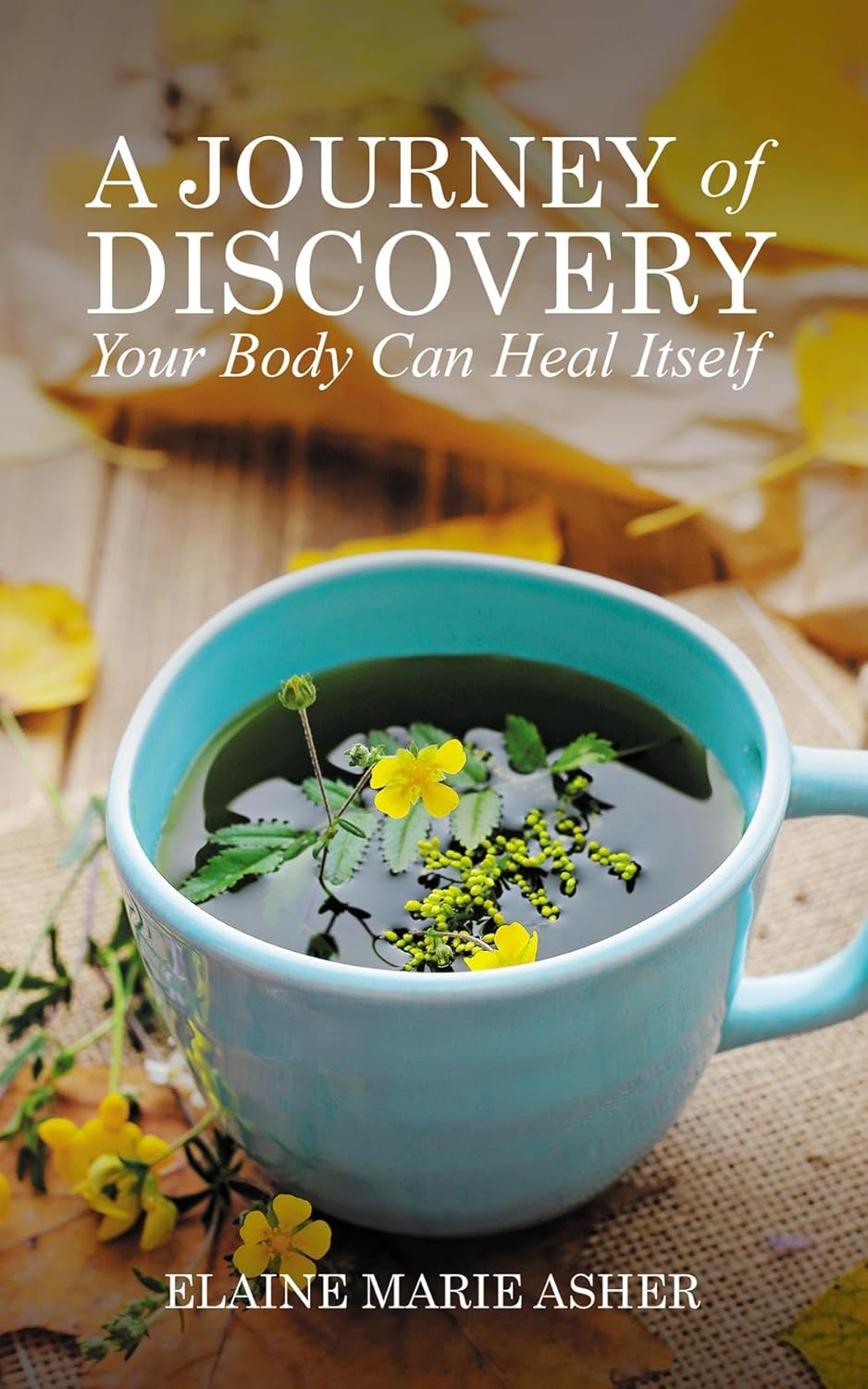 A Journey of Discovery, Your Body Can Heal Itself eBook