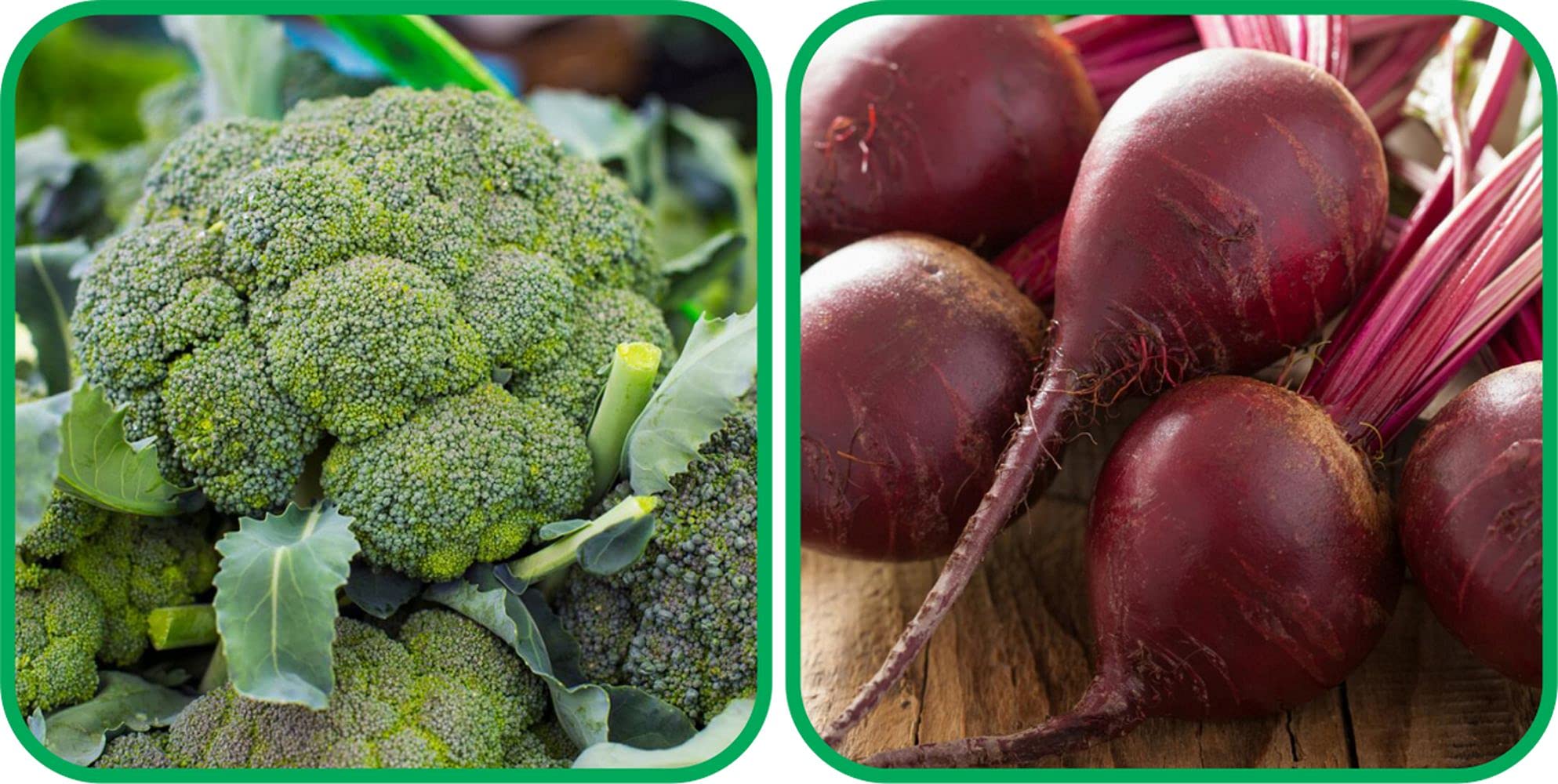 Aero Seeds Beetroot (100 Seeds) And Broccoli (50 Seeds) Vegetable Seeds Pack (B0989XQQLZ) Amazon Price History, Amazon Price Tracker