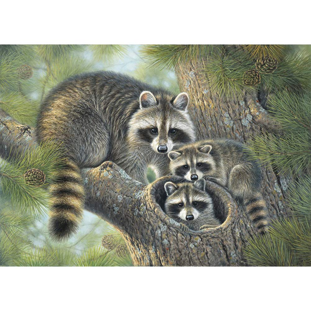 Own4b Green Diy 5D Diamond Painting By Numbers Kits, Raccoons On The Tree, Full Drill Rhinestones Paint With Diamonds Crystal Diamond Art (Raccoon)