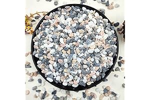 2LB Succulent and Cactus Natural Polished Pebbles