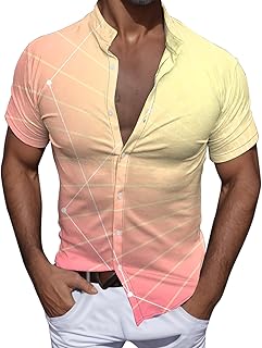 Hawaiian Shirts for Men Long/Short/Sleeveless Sleeve Tee Shirts for Men Loose Fit Regular Fit Shirts T-Shirts for Men Cotton Linen Casual Shirts Summer Autumn Shirts for Men Daily Formal Shirts B