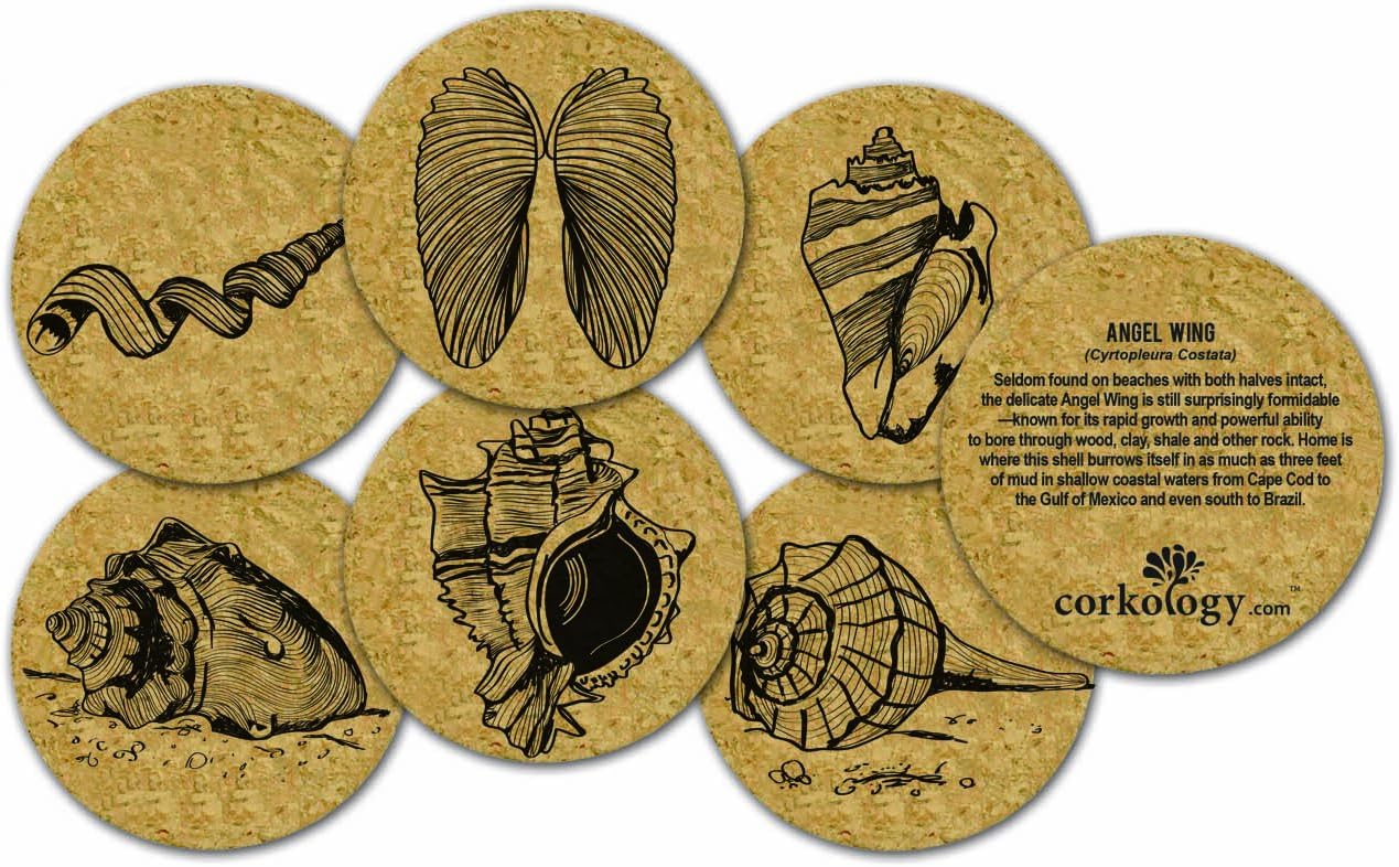 Corkology Seashells Coaster Set, Cork