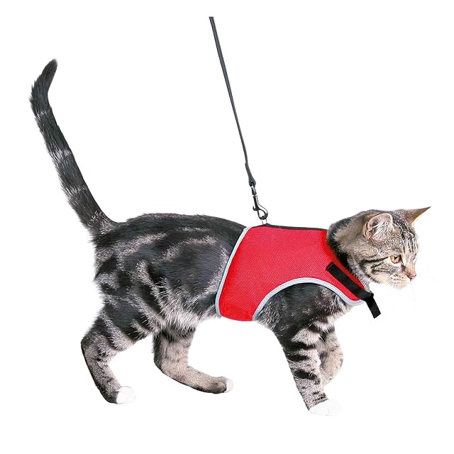 Trixie 41896, Correa Gatos, 24-42 cm, (1.20 m), colores surtidos