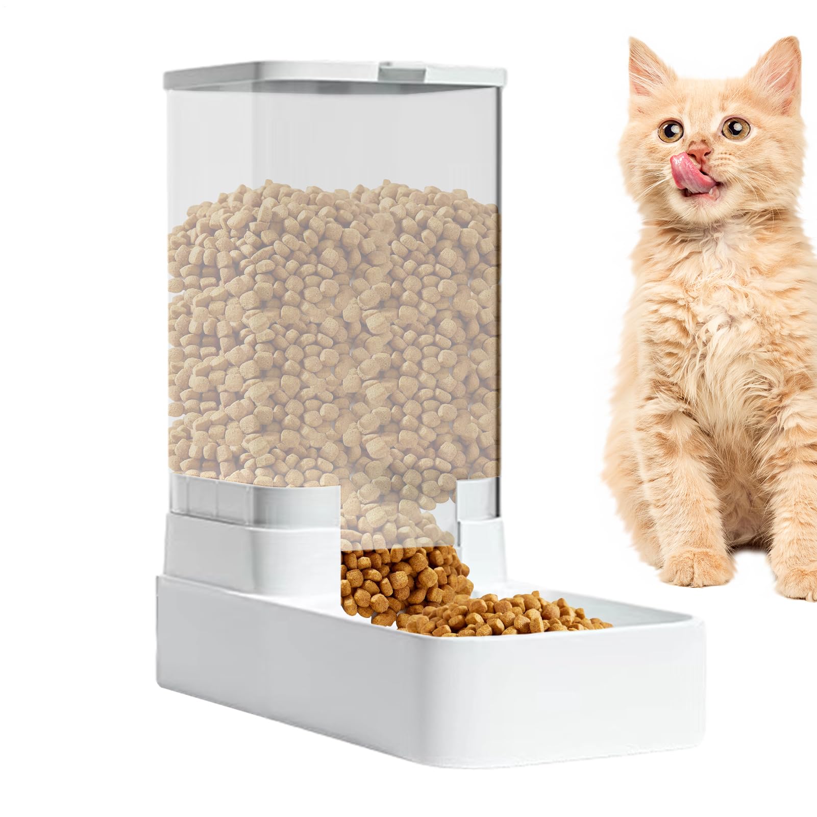 Distributeur automatique de nourriture pour chaton et chien avec station réglable