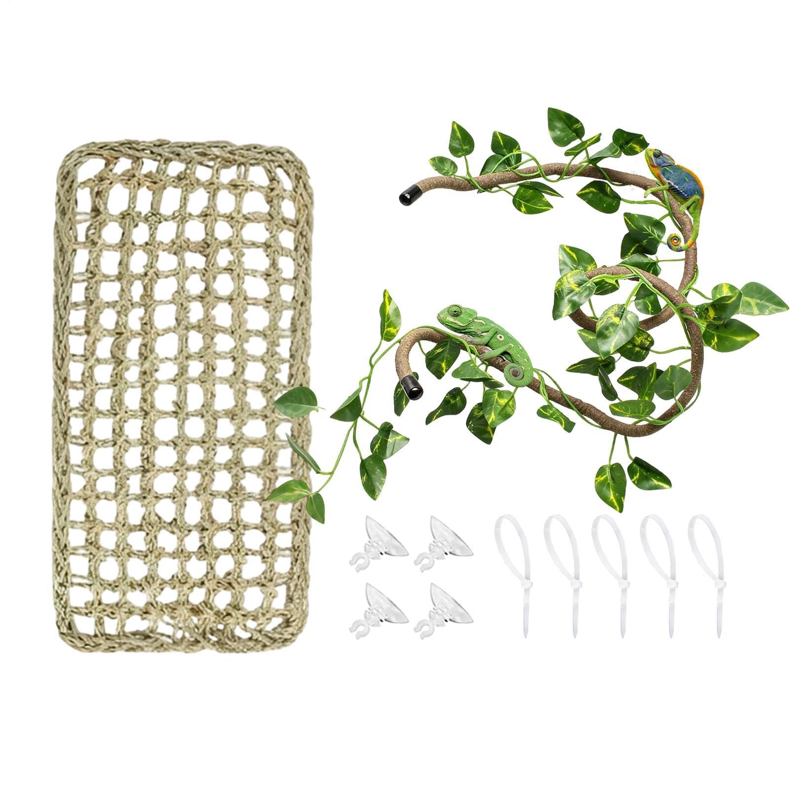 Plantas trepadoras para terrario de reptiles decoración escalada anfibios